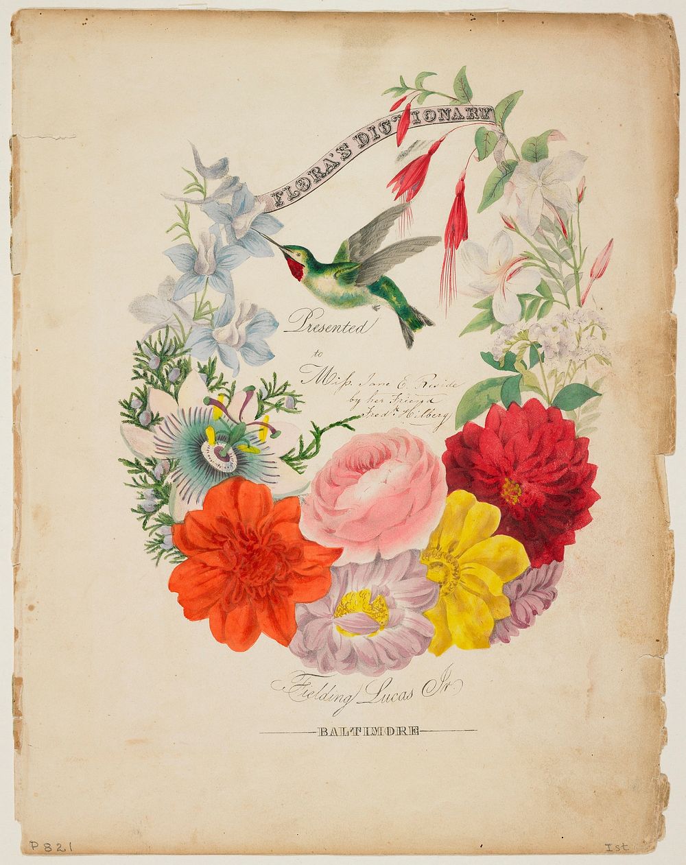 Presentation Page. Flower Garland and Humming Bird, from Flora's Dictionary (1838) painting in high resolution by Elizabeth…