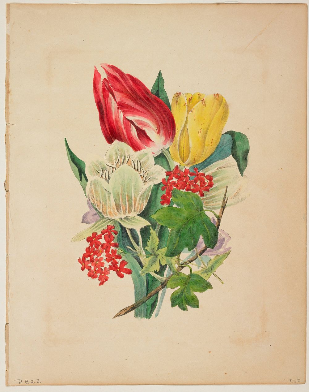 Bouquet of Tulips, from Flora's Dictionary (1838) painting in high resolution by Elizabeth Wirt. Original from the…