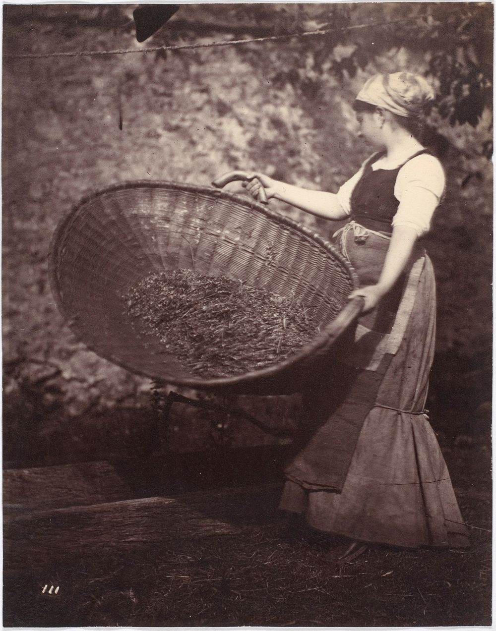 Peasant Woman with Winnowing Basket