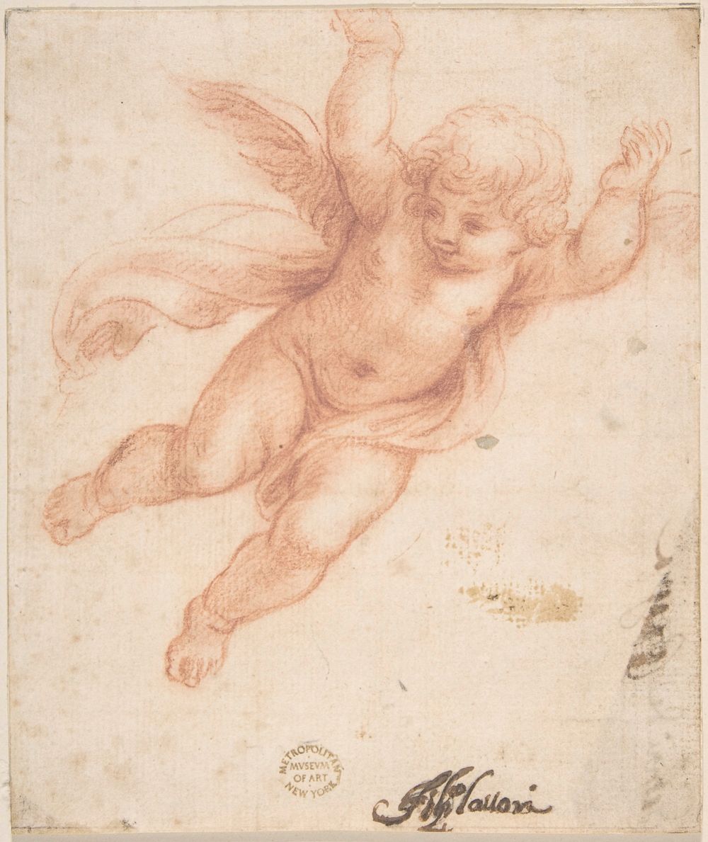 Putto