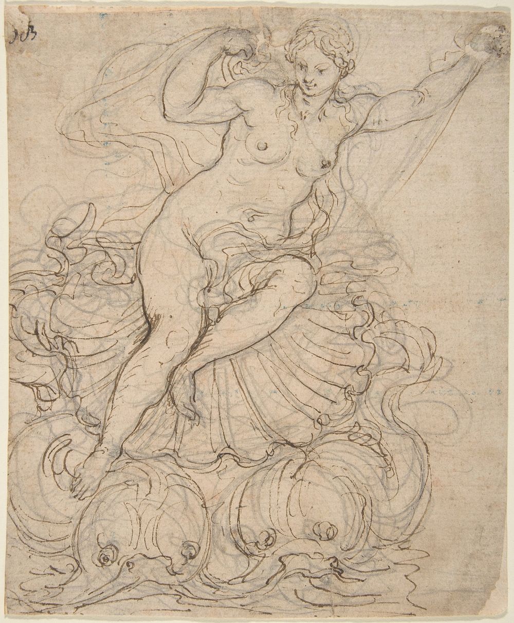 Galatea on her Chariot drawn by Dolphins  by Giovanni Battista Foggini