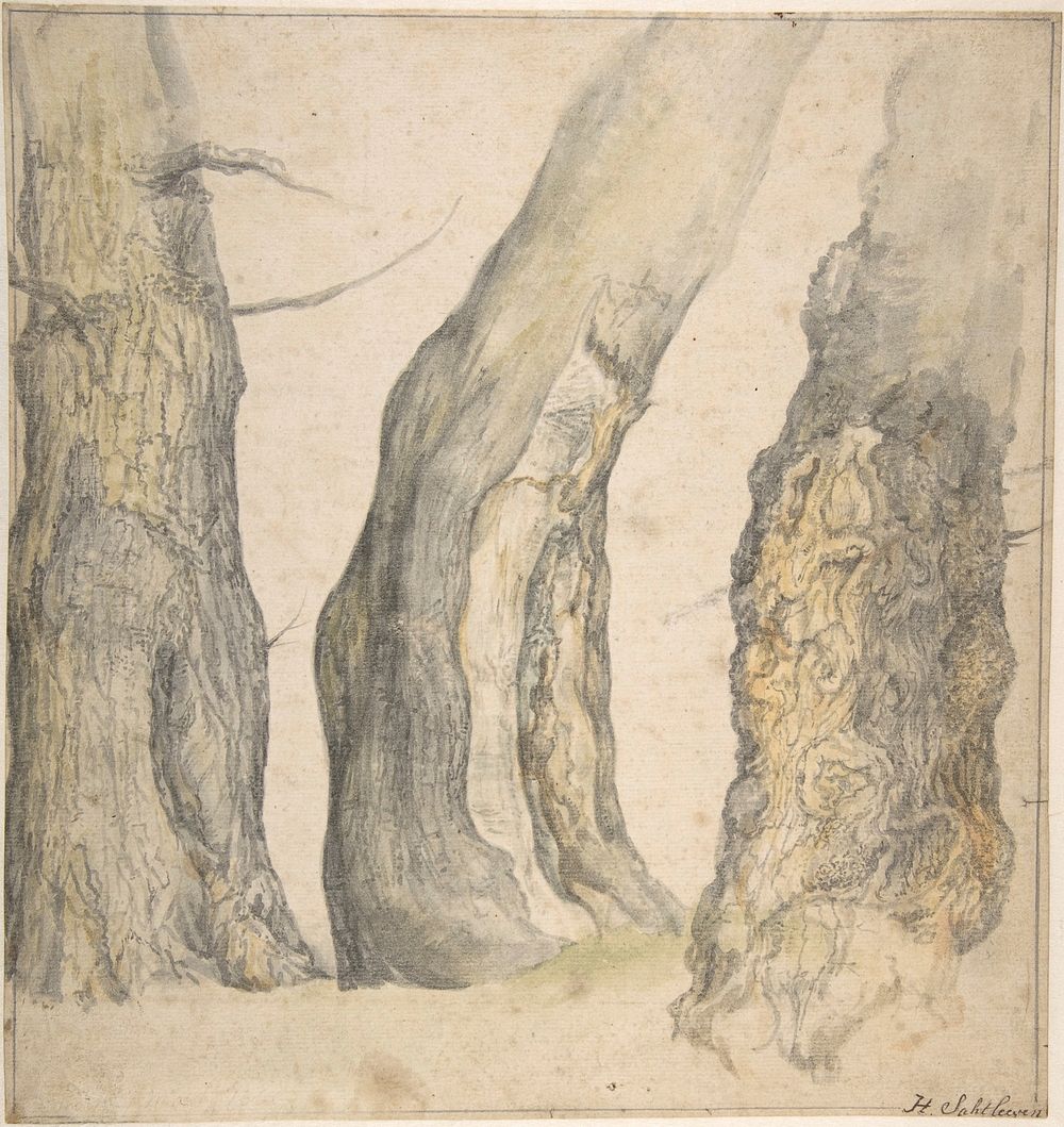 Study of Three Old Gnarled Trees 