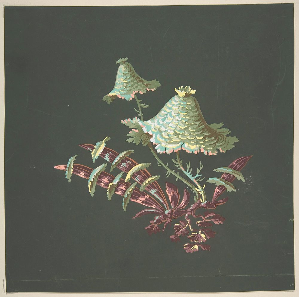 Two Hat-Shaped Chinoiserie Flowers with Fanciful Leaves by Anonymous, French, 19th century