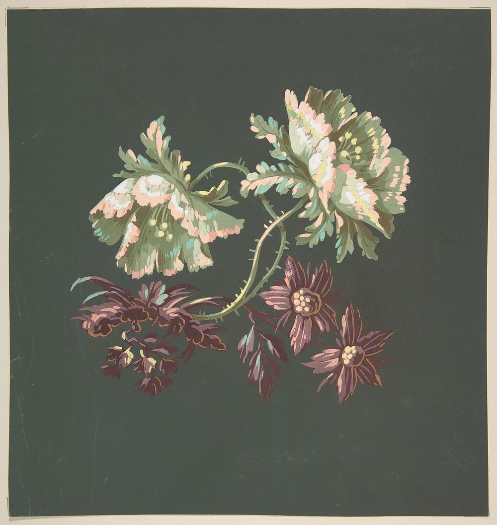 Two Roses and Two Small Flowers by Anonymous, French, 19th century