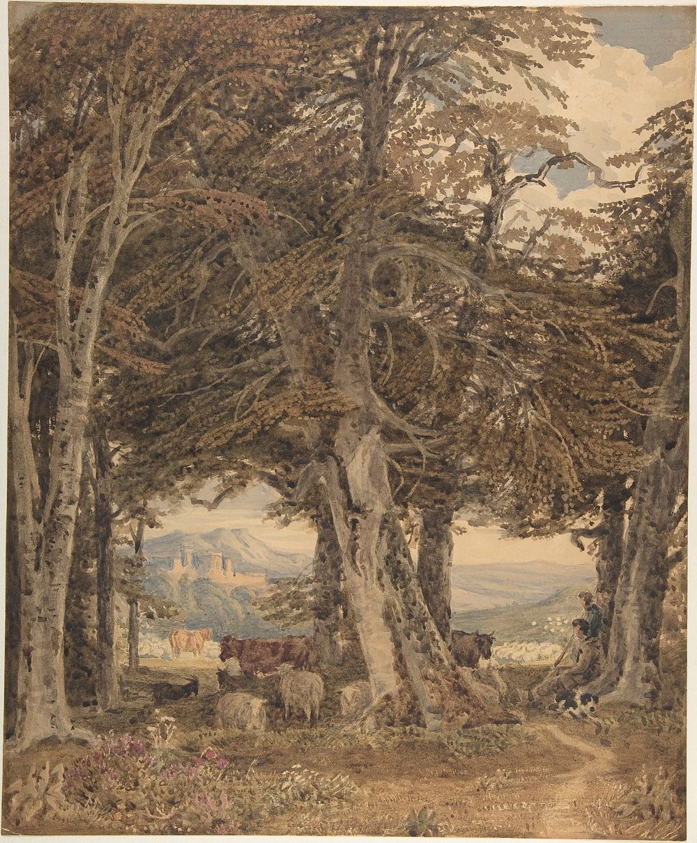 Cattle and Sheep at Resting at the Edge of a Forest by George Barret, the younger
