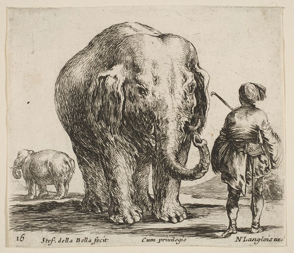 Plate 16: an elephant in center, his mahout standing to the right wearing an Oriental costume, another elephant to left in…
