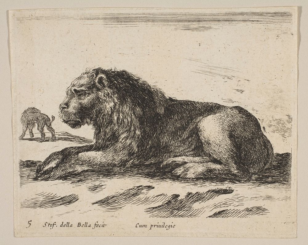 Plate 5: reclining lion, from 'Various animals' (Diversi animali) by Stefano della Bella