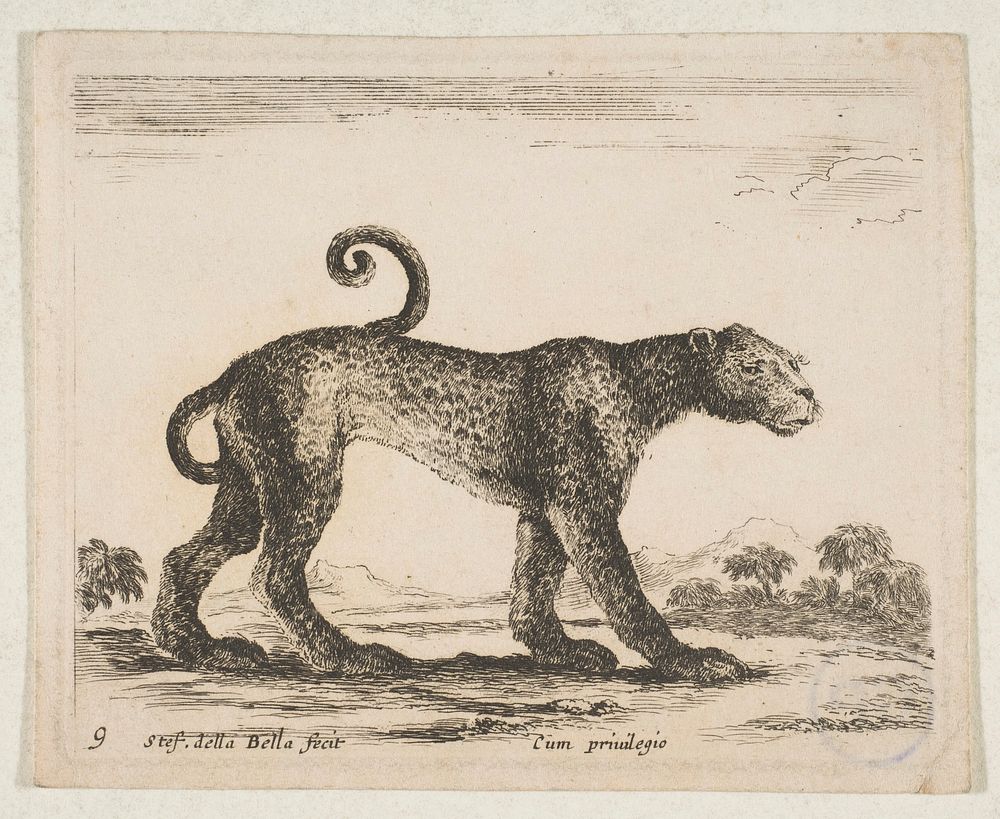 Plate 9: leopard, from 'Various animals' (Diversi animali)