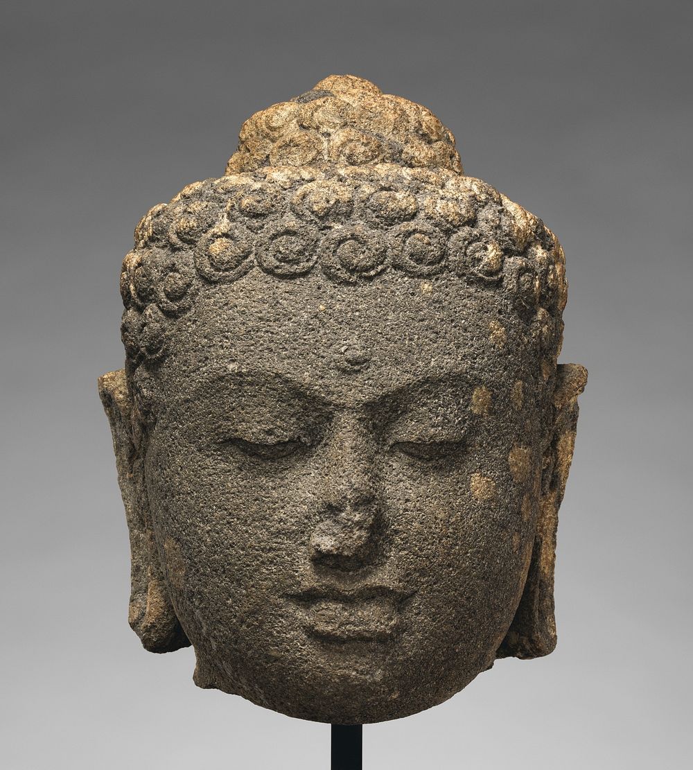 Head of a Buddha