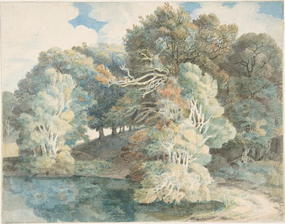 Trees by the Lake, Peamore Park, near Exeter, Devon by Francis Towne