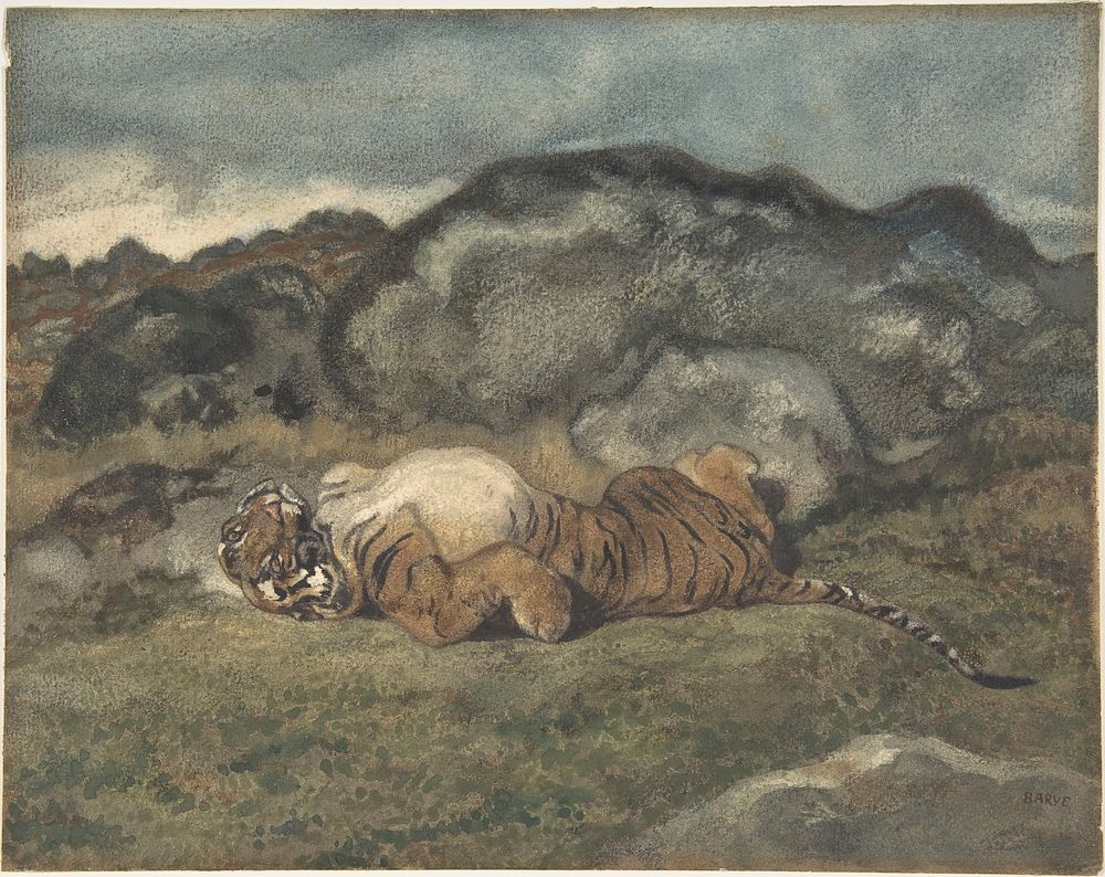 Tiger Rolling on Its Back by Antoine-Louis Barye