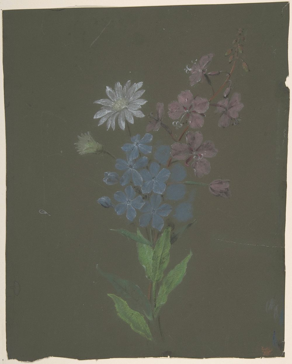 Floral Design by Antoine Berjon