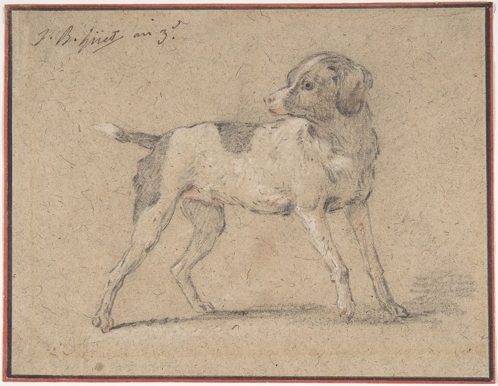 Black and White Dog, Head Turned to the Left by Jean-Baptiste Huet I