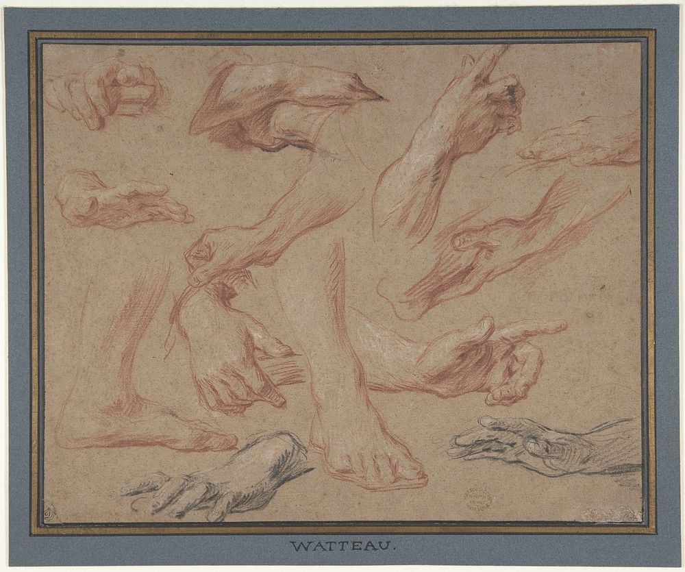 Studies of Hands and Feet by Fran&ccedil;ois Le Moyne