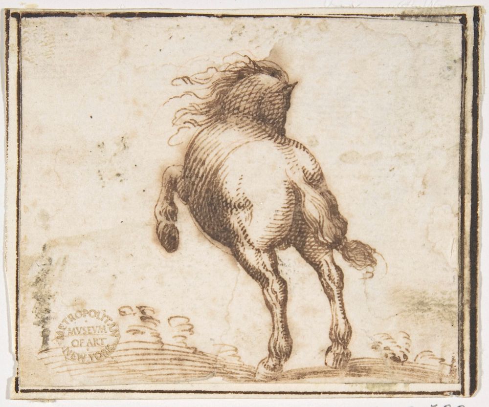 Horse