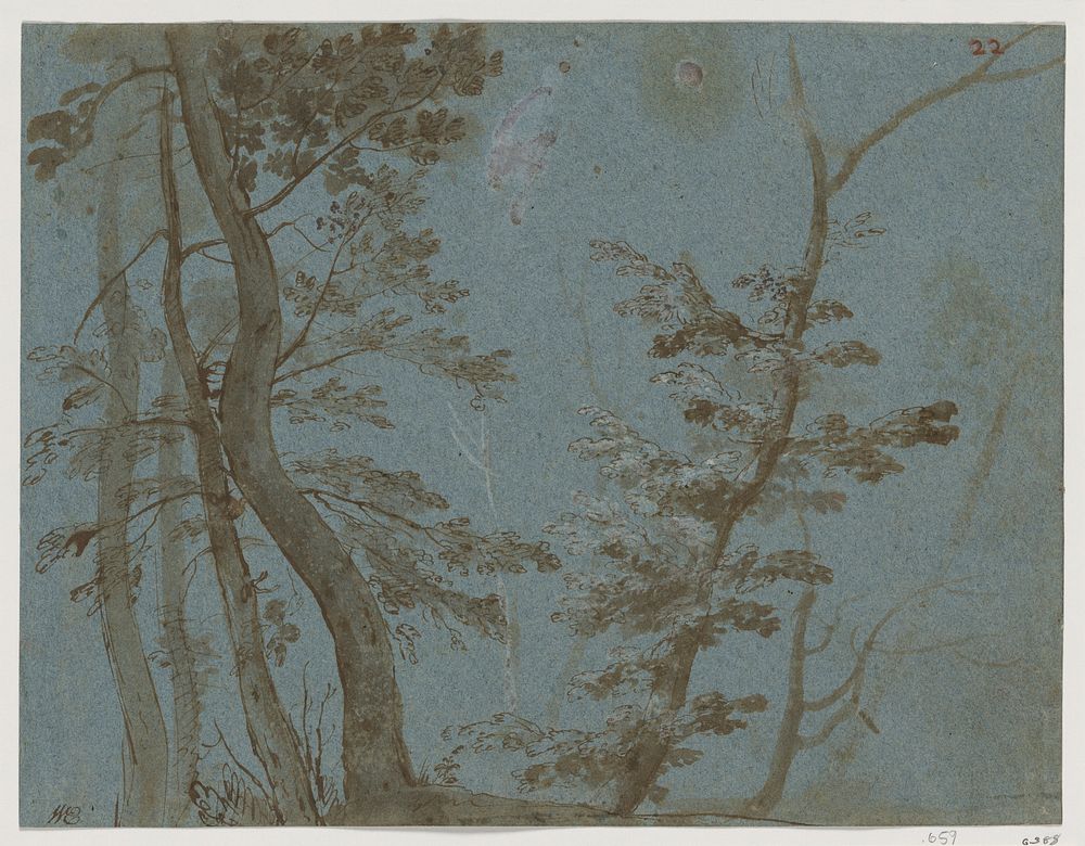 Trees by French artist in the circle of Giovanni Francesco Grimaldi