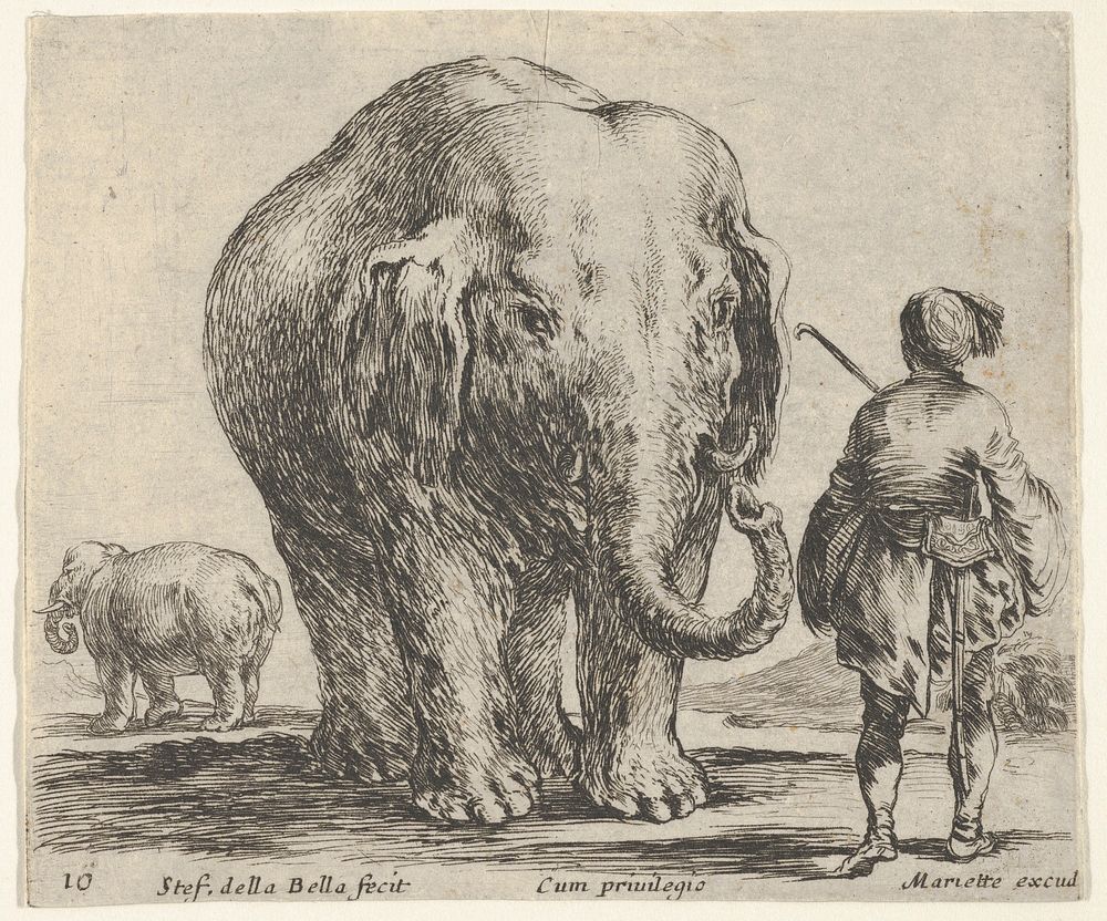 Plate 16: an elephant in center, his mahout standing to the right wearing an Oriental costume, another elephant to left in…