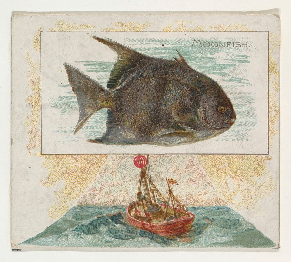 Moonfish, from Fish from American Waters series (N39) for Allen & Ginter Cigarettes issued by Allen & Ginter 