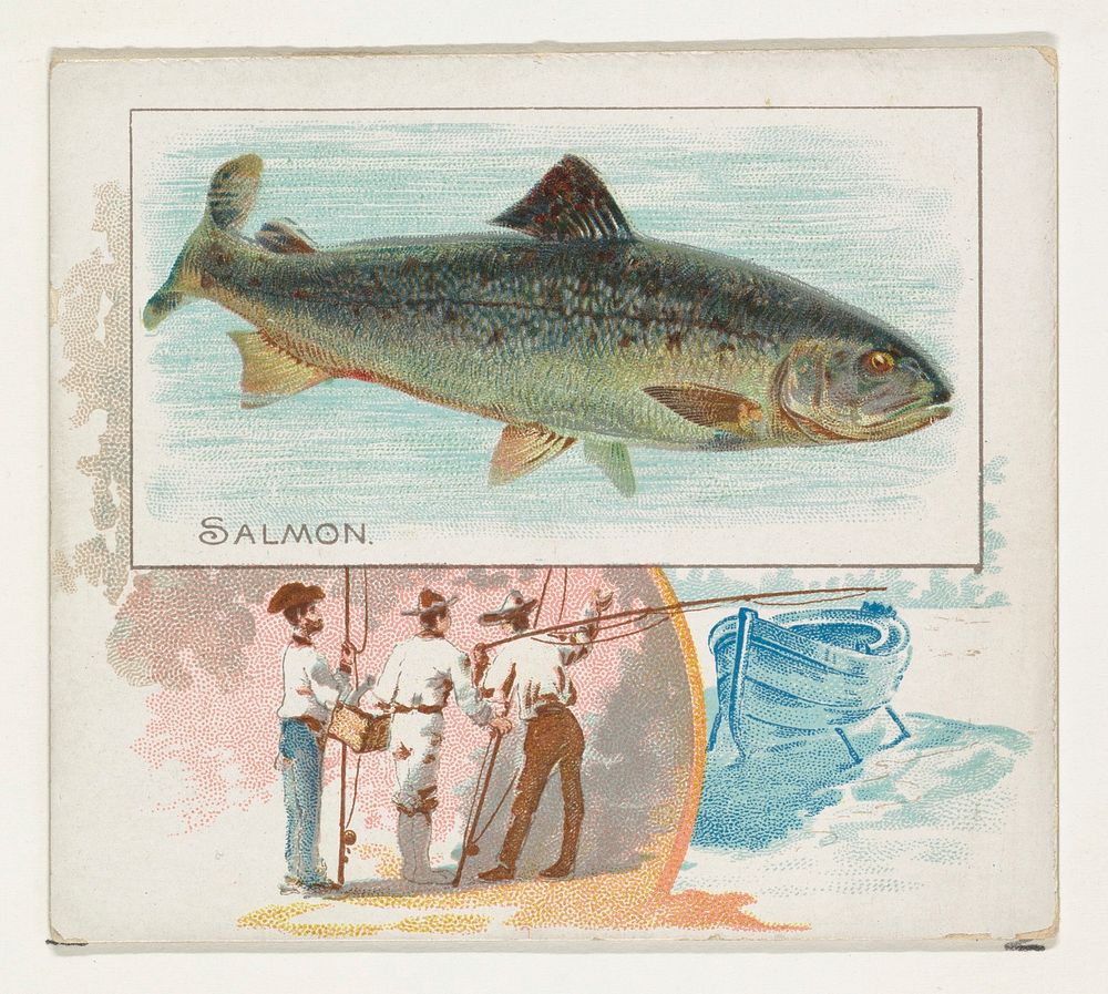 Salmon, from Fish from American Waters series (N39) for Allen & Ginter Cigarettes issued by Allen & Ginter 
