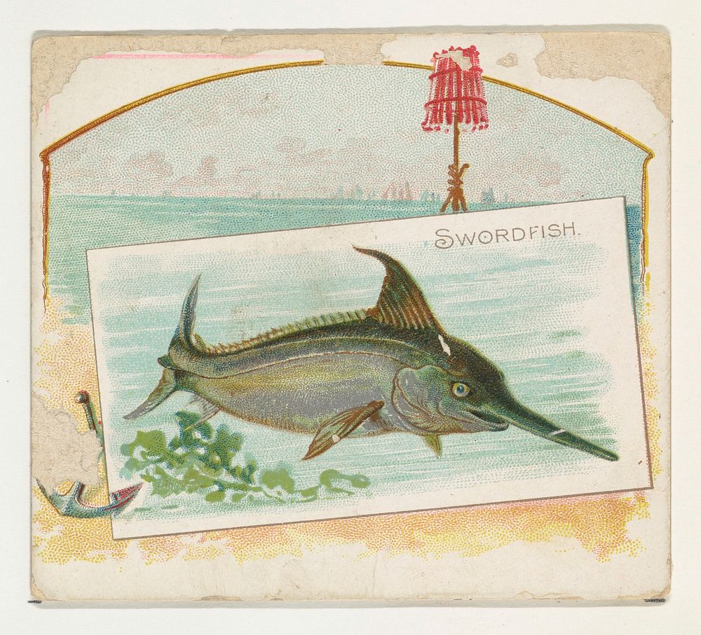Swordfish, from Fish from American Waters series (N39) for Allen & Ginter Cigarettes issued by Allen & Ginter 