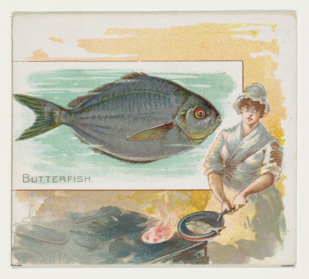 Butterfish, from Fish from American Waters series (N39) for Allen & Ginter Cigarettes issued by Allen & Ginter 