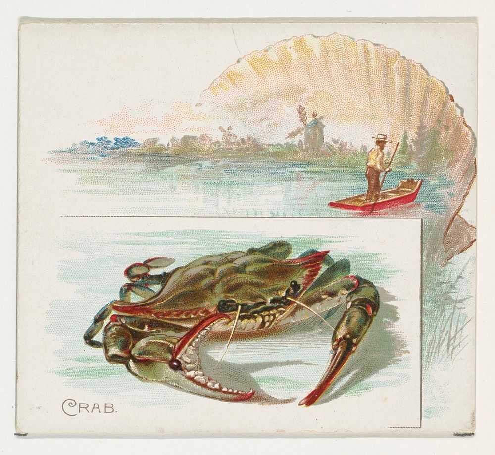 Crab, from Fish from American Waters series (N39) for Allen & Ginter Cigarettes issued by Allen & Ginter