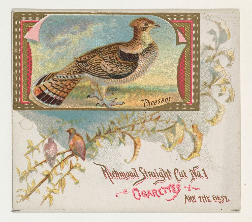 Pheasant, from the Game Birds series (N40) for Allen & Ginter Cigarettes issued by Allen & Ginter 