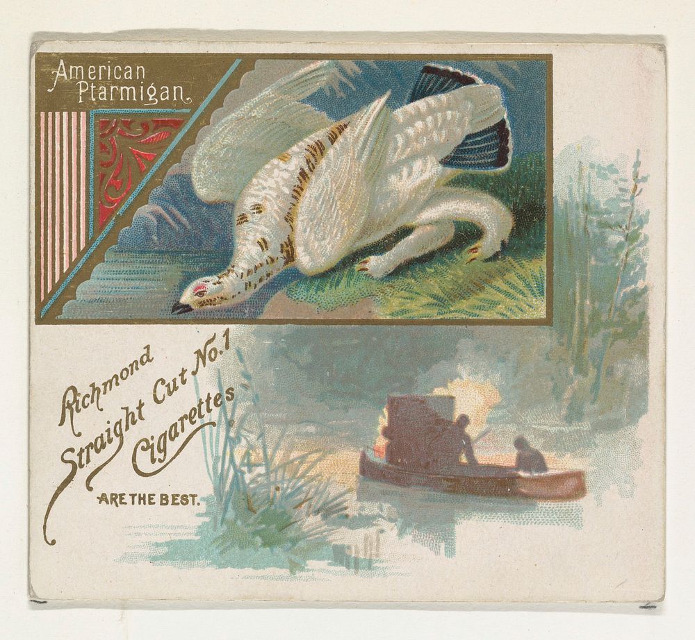 American Ptarmigan, from the Game Birds series (N40) for Allen & Ginter Cigarettes issued by Allen & Ginter 