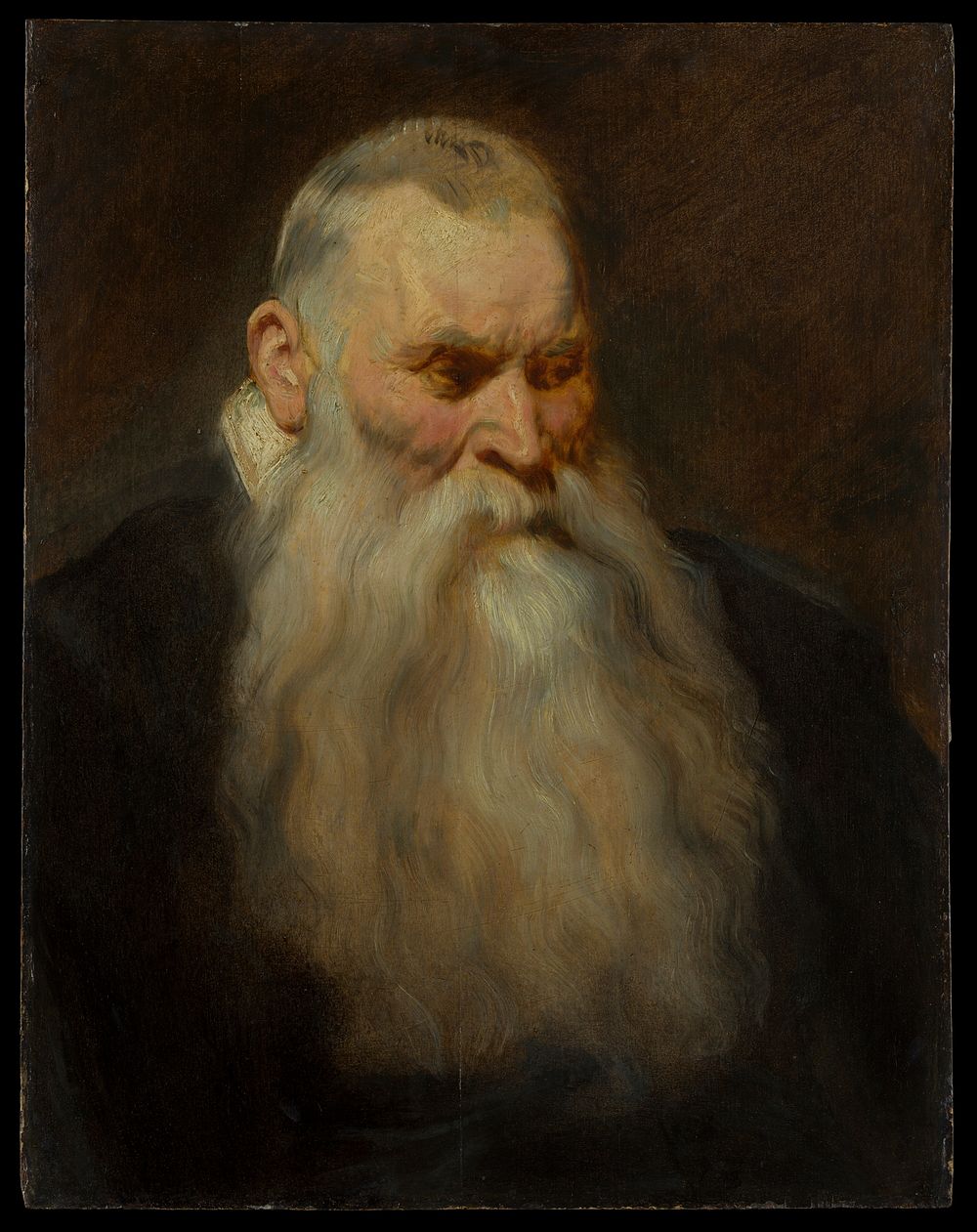 Study Head of an Old Man with a White Beard by Anthony van Dyck