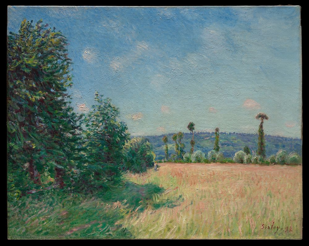 Sahurs Meadows in Morning Sun by Alfred Sisley