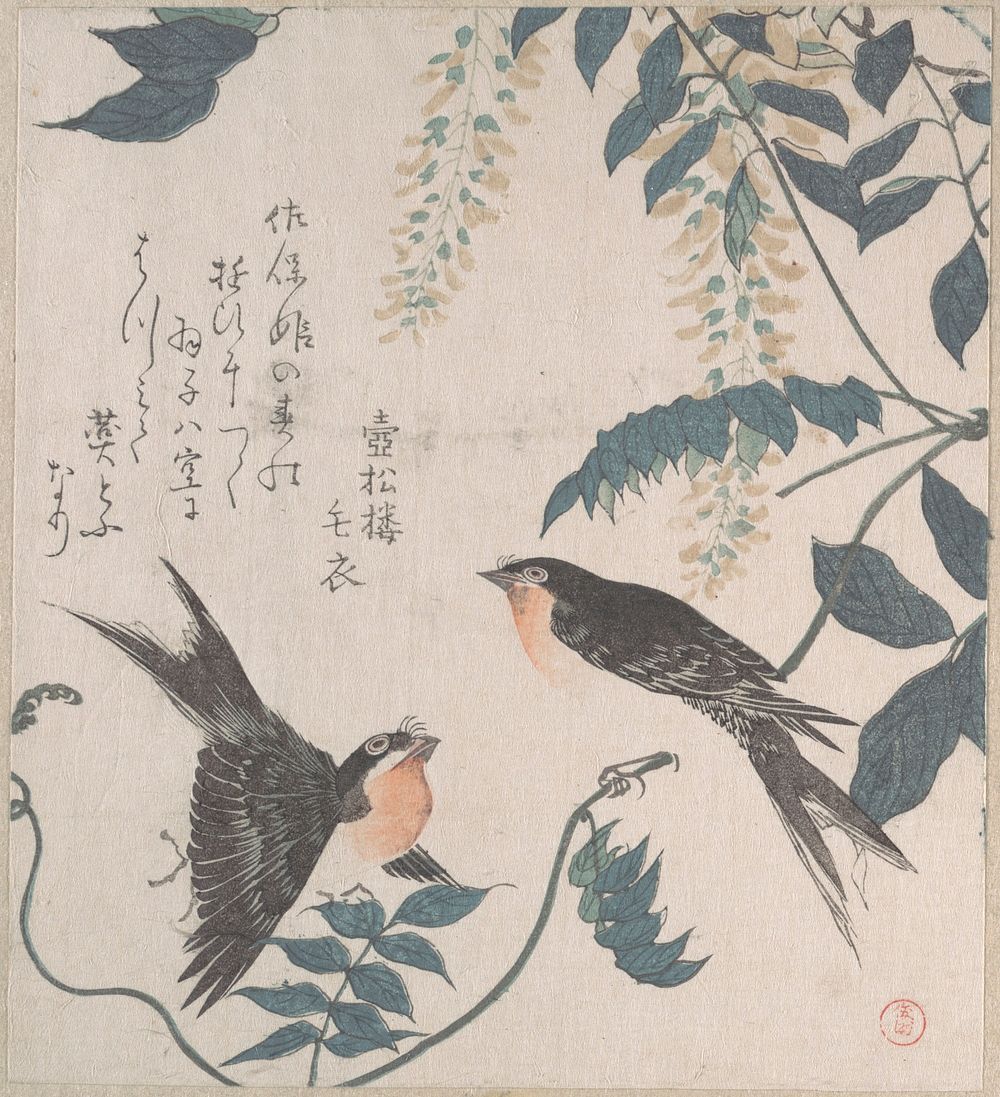Swallows and Wisteria by Kubo Shunman