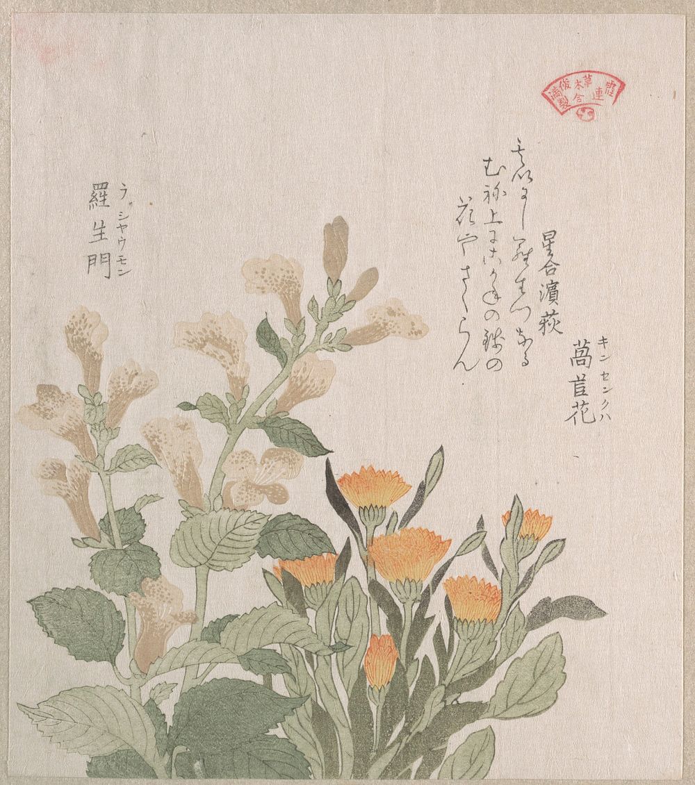 The Common Marigold and The Rajoman Flowers by Kubo Shunman