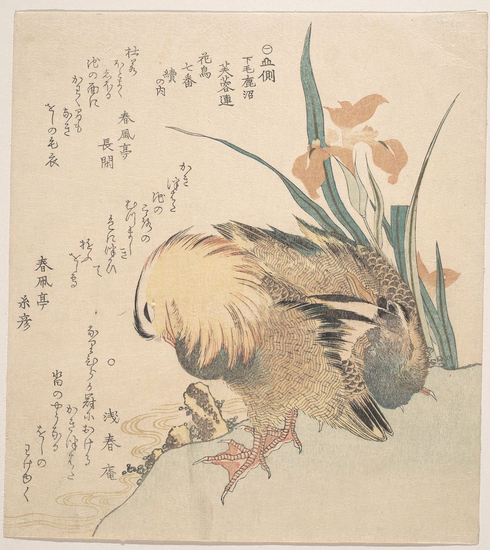 Pair of Mandarin Ducks and Iris Flowers by Kubo Shunman
