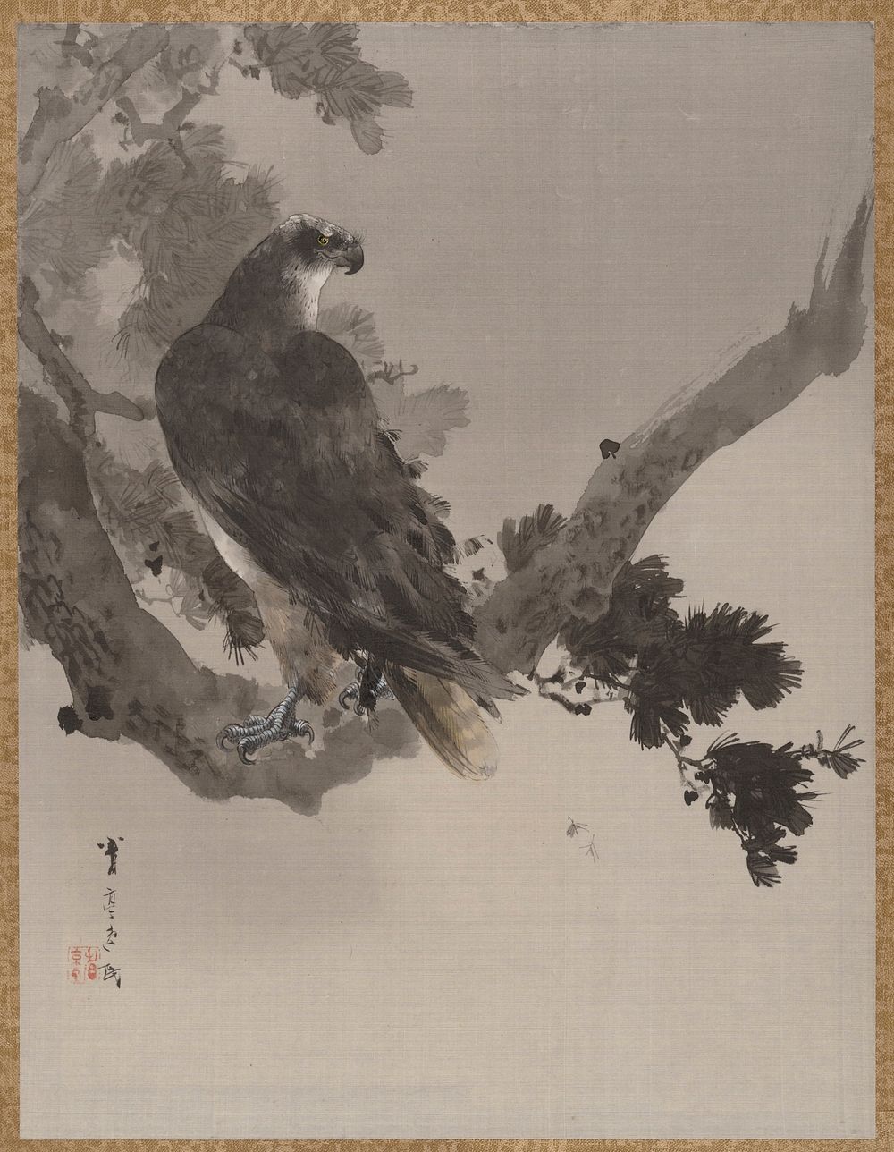 Eagle in a Tree by Watanabe Seitei