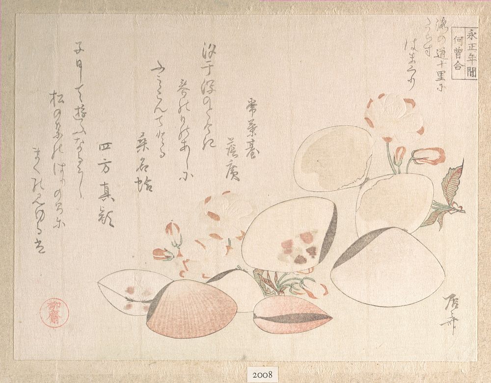 Cherry Blossoms and Shells by Ryūryūkyo Shinsai