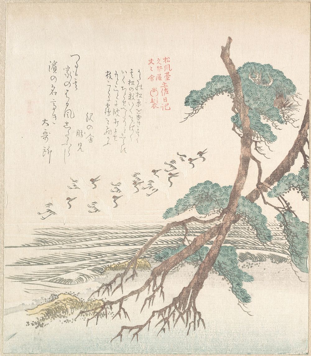 Sea-Side Landscape with Pine Trees and Flying Cranes by Kubo Shunman