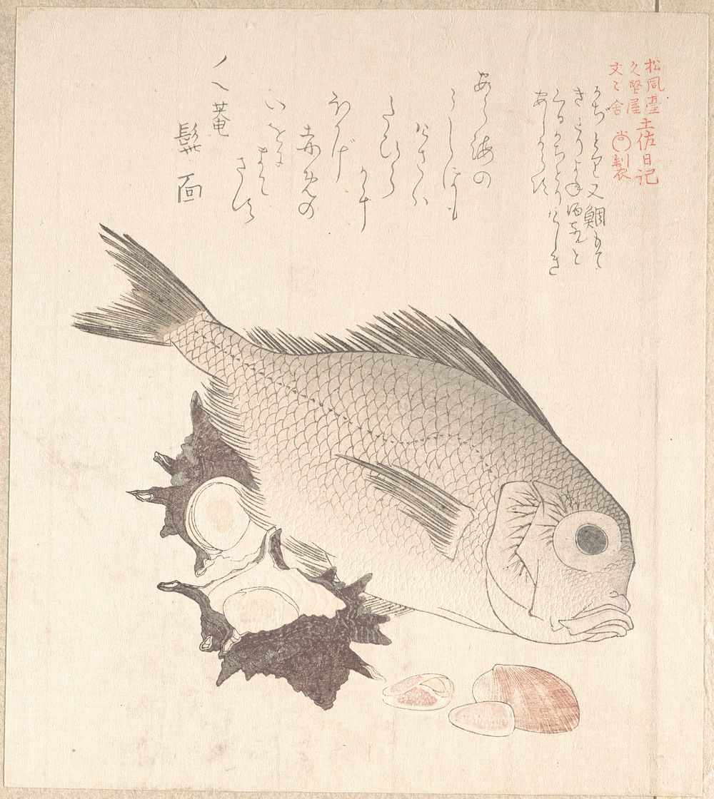 Tai Fish and Top-Shells by Kubo Shunman