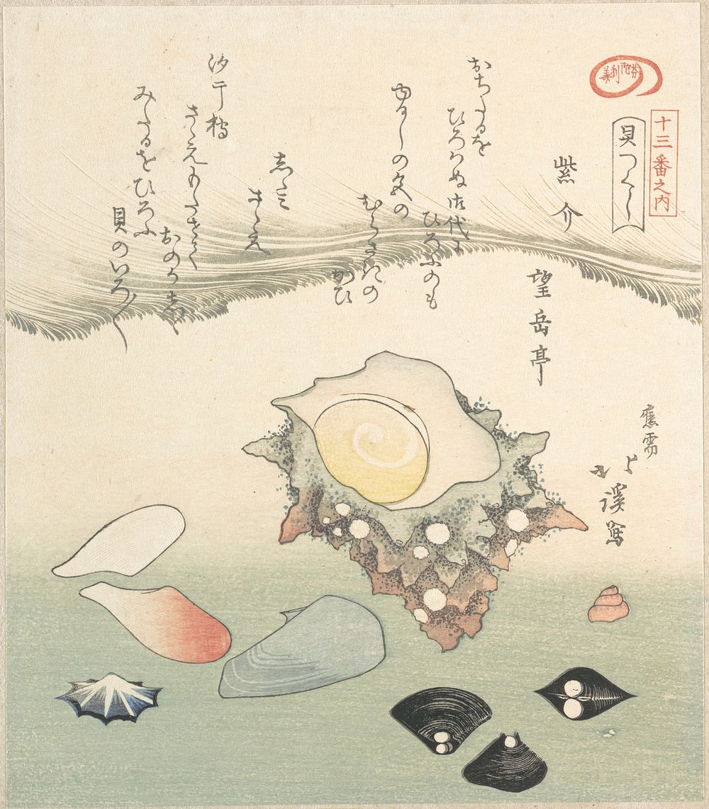 Top-Shell and Various Shells by Totoya Hokkei