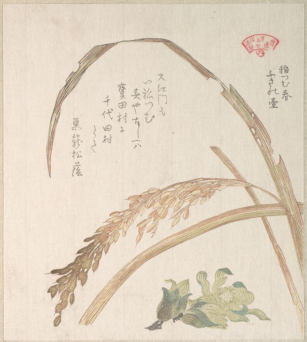 Rice Plant and Butter-Burs by Kubo Shunman