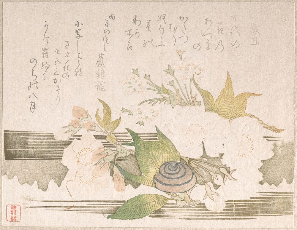 Cherry Blossoms and a Snail by Unidentified artist