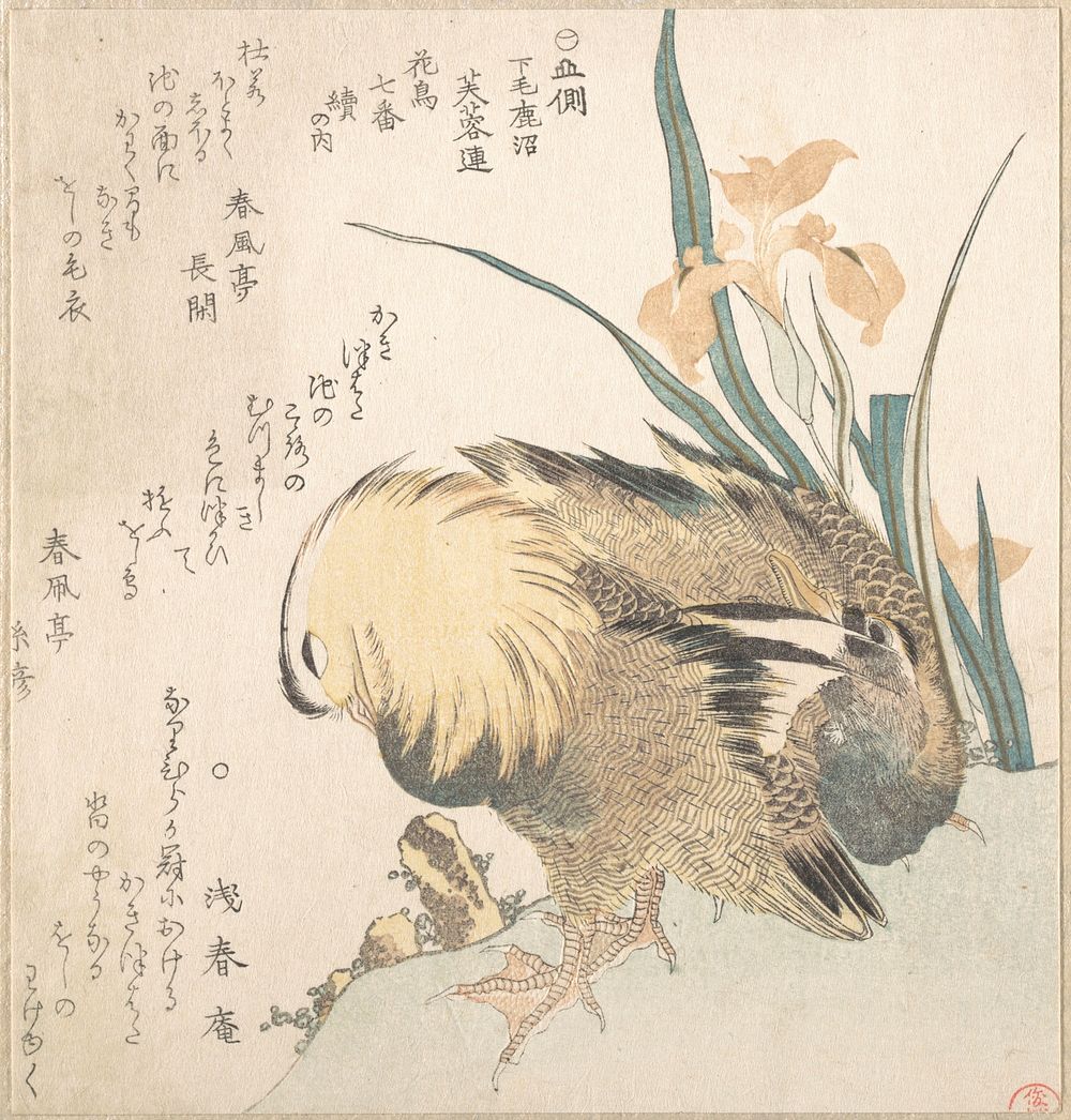 Pair of Mandarin Ducks and Iris Flowers by Kubo Shunman