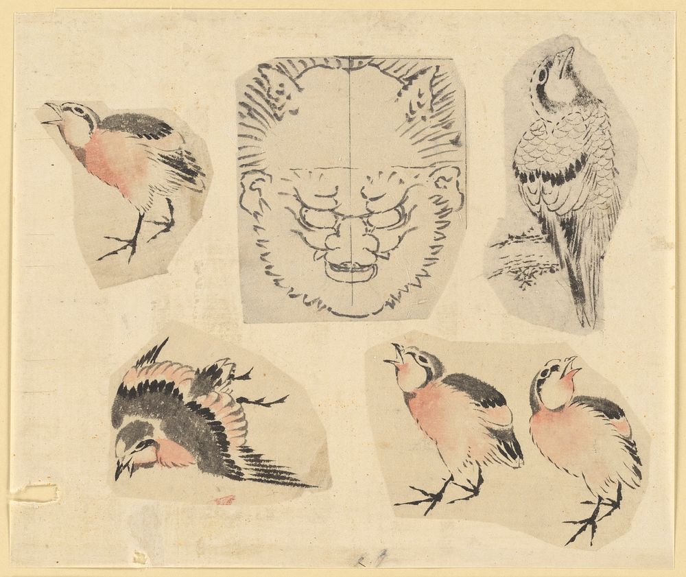 Four sketches of birds and one design for a grotesque mask, mounted together by Katsushika Hokusai