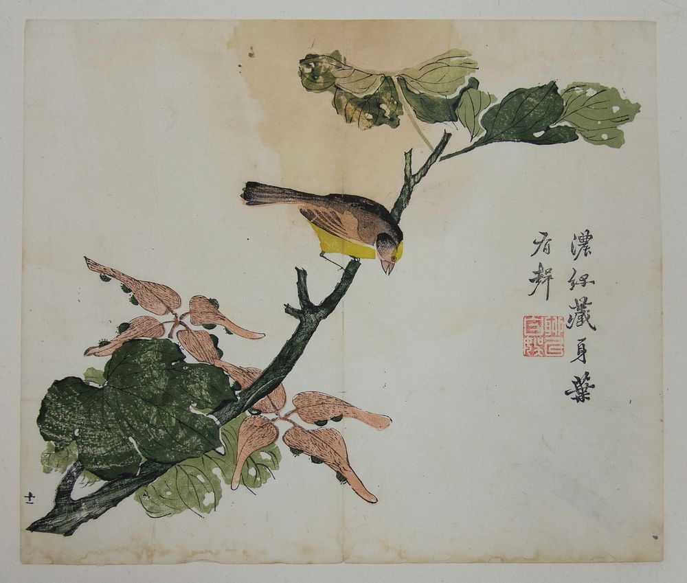 Seeds and Aleurities Cordata (?): Page from The Mustard Seed Garden Manual of Painting (Jieziyuan huazhuan) 