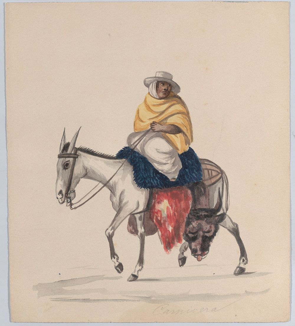 A butcher riding a donkey, from a group of drawings depicting Peruvian dress