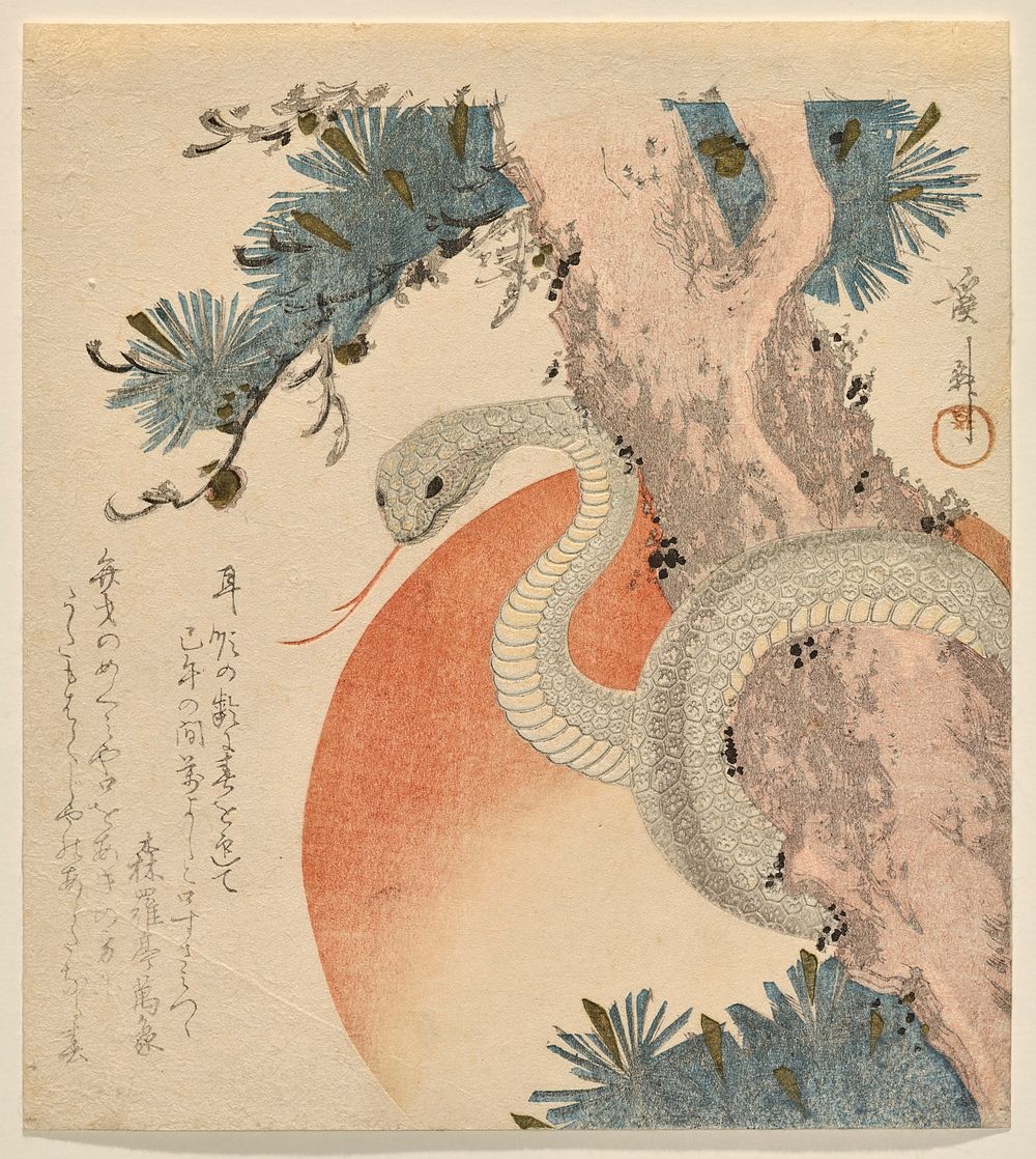 Snake Coiled around a Pine Tree before the Rising Sun (1821) print in high resolution by Keisai Eisen. Original from The…