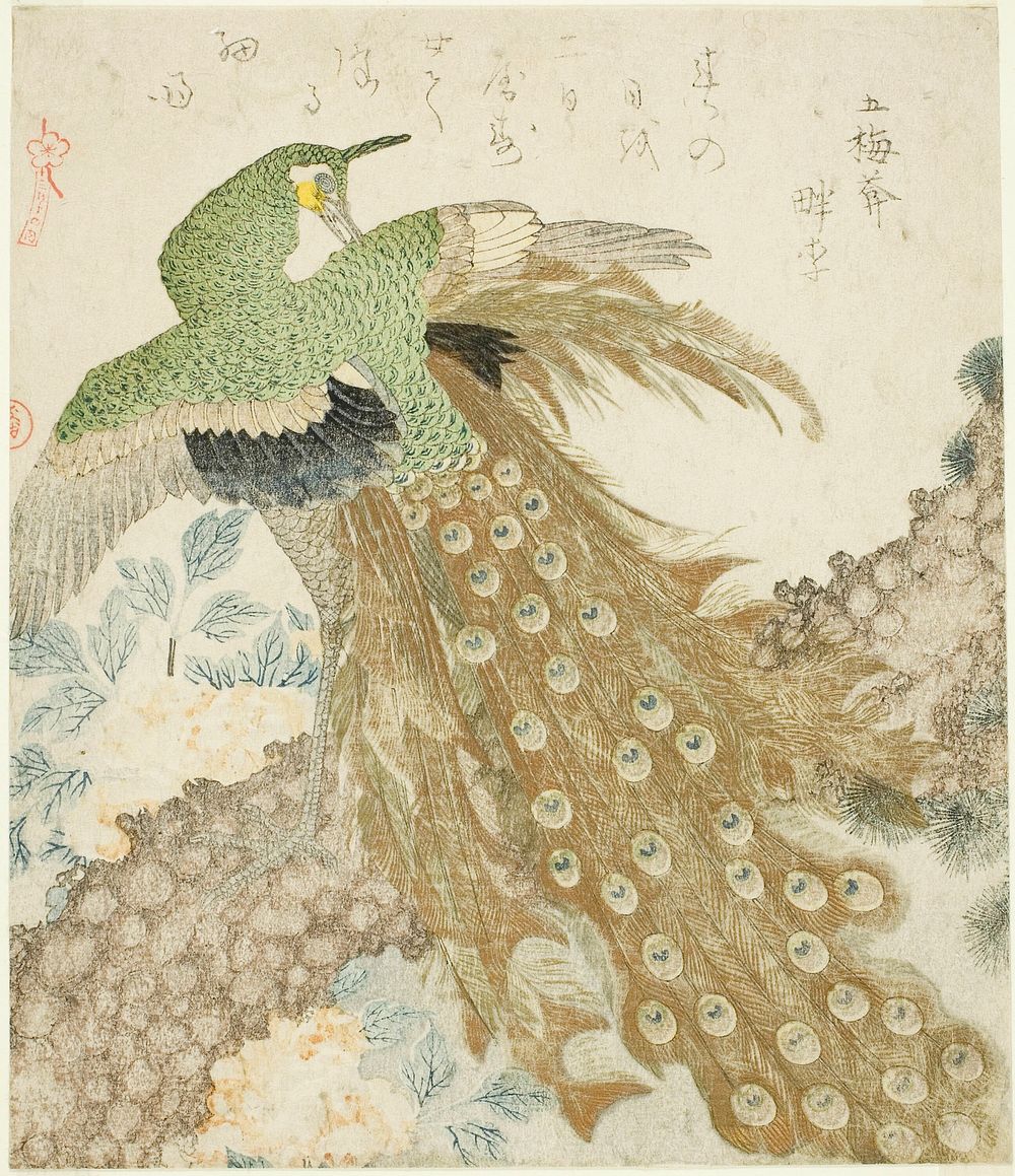 Peacock, Pine Tree, and Peonies, from the series &ldquo;A Set of Three Petals (San hira no uchi)&rdquo; (1810s) print in…