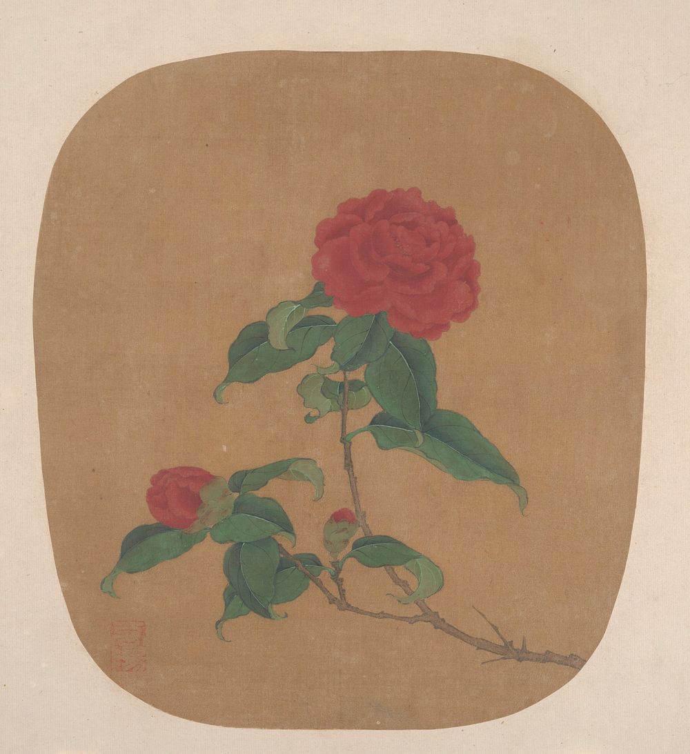 Camellia Flowers. Original public domain image from the MET museum.