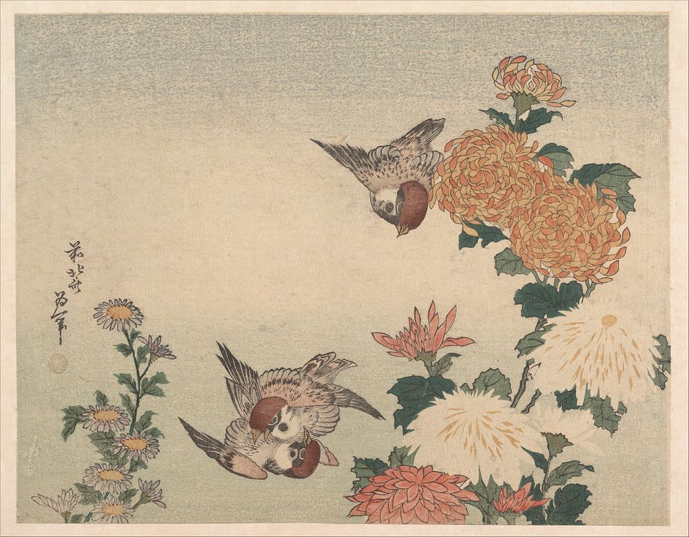 Sparrows and Chrysanthemums. Original public domain image from the MET museum.