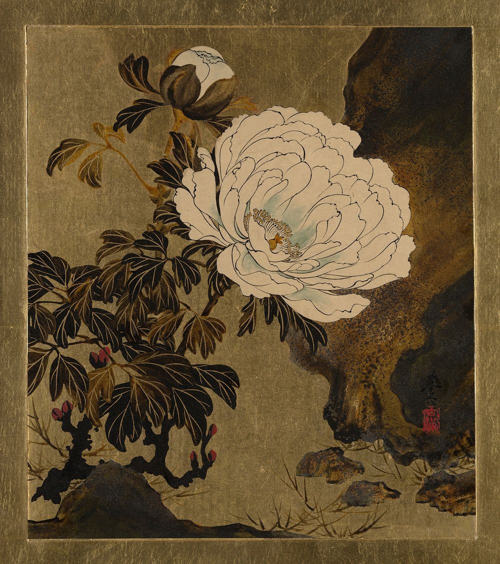 Lacquer Paintings of Various Subjects: Peonies by Shibata Zeshin.