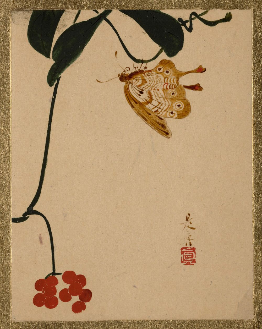 Red Berry Plant and Butterfly. Original public domain image from the MET museum.
